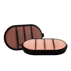DONALDSON AIR SAFETY POWERCORE PSD10