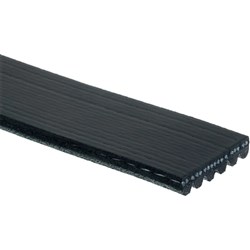 MICRO V BELT K060637