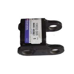 SWINGING SHACKLE