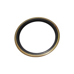 TRUNNION SEAL