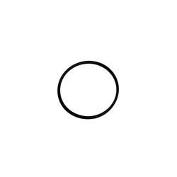 O-RING MOUNT