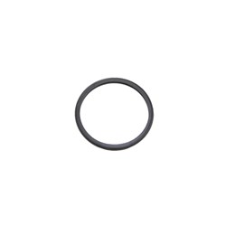 GASKET THERMOSTAT
