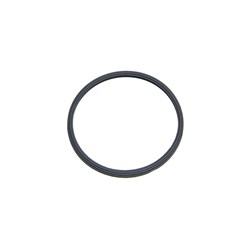 GASKET THERMOSTAT